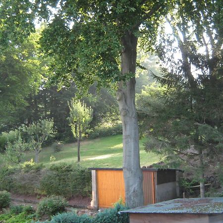 Ferienwohnung Sauerland Panorama Korbach Eksteriør billede