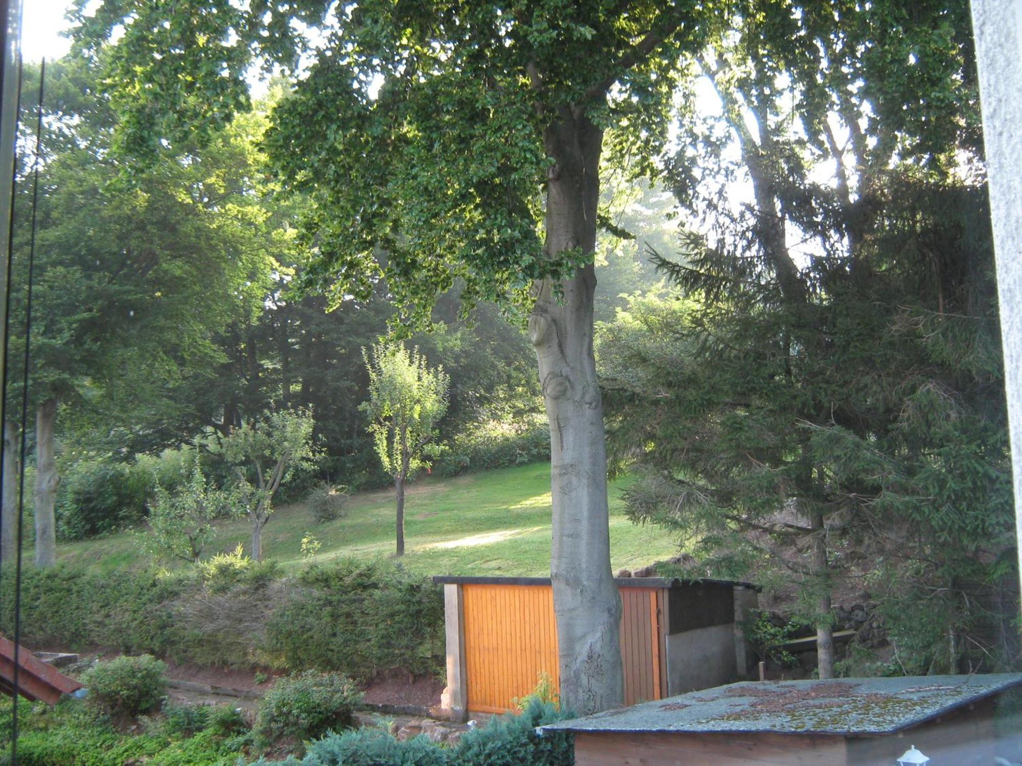 Ferienwohnung Sauerland Panorama Korbach Eksteriør billede